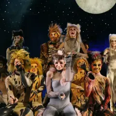 Darsteller in Katzenkostümen auf einer Bühne. Seit wann gibt es Musicals? Diese Darsteller könnten es wissen!