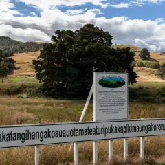 Schild mit dem längsten Ortsnamen der Welt, Taumatawhakatangihangakoauauotamateaturipukakapikimaungahoronukupokaiwhenuakitanatahu, vor einem Fichtendickicht. Ein Zungenbrecher in der Natur.