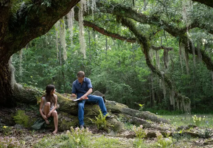 Ein Mann und eine Frau sitzen unter einem Baum im Wald. Szene aus dem Film "Der Gesang der Flusskrebse".