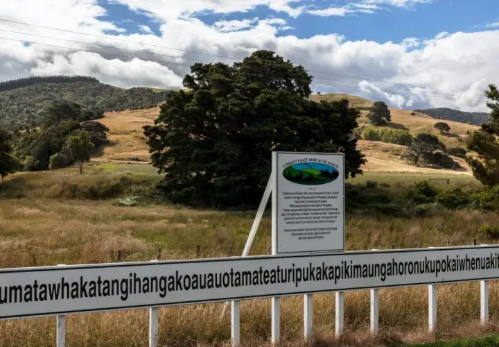 Schild mit dem längsten Ortsnamen der Welt, Taumatawhakatangihangakoauauotamateaturipukakapikimaungahoronukupokaiwhenuakitanatahu, vor einem Fichtendickicht. Ein Zungenbrecher in der Natur.