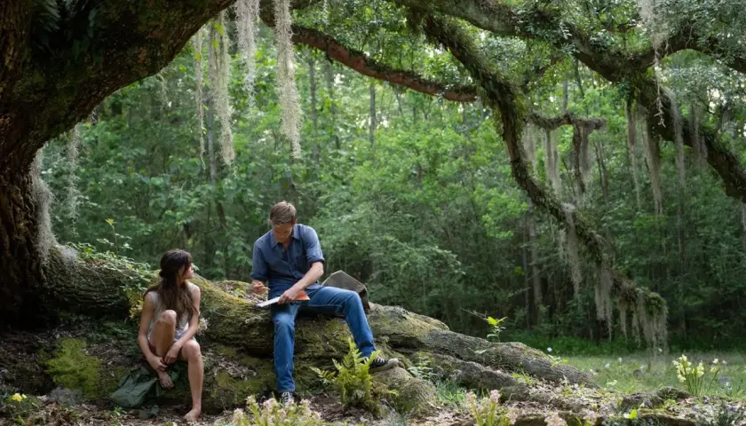 Ein Mann und eine Frau sitzen unter einem Baum im Wald. Szene aus dem Film "Der Gesang der Flusskrebse".